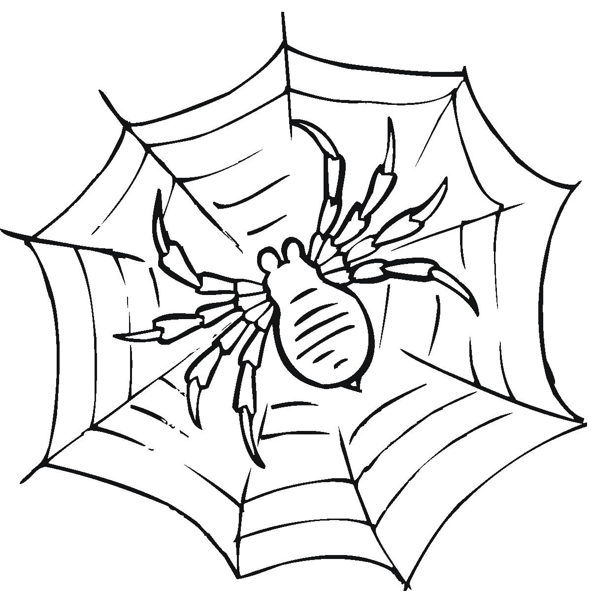 Printable Spider Web Coloring Page