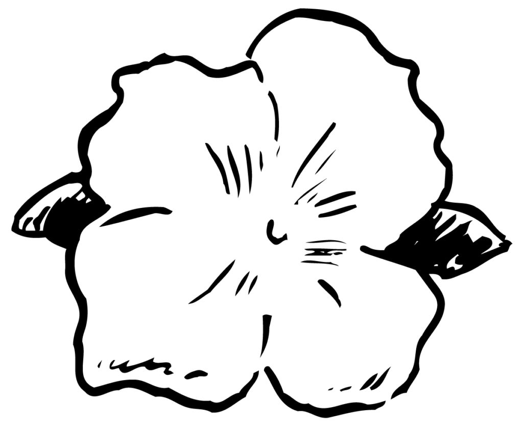 Coloring Pages: Hawaiian Flower Coloring Pages: Hawaiian Coloring ... -  ClipArt Best - ClipArt Best