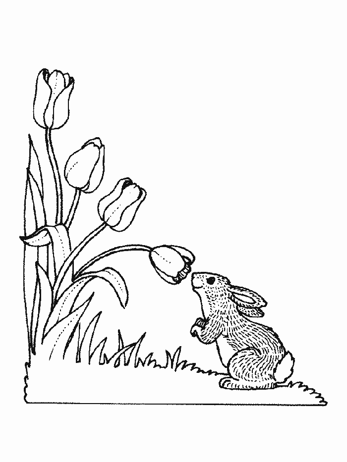 rabbit coloring pages | Flower with bunny coloring page | bunnies ...
