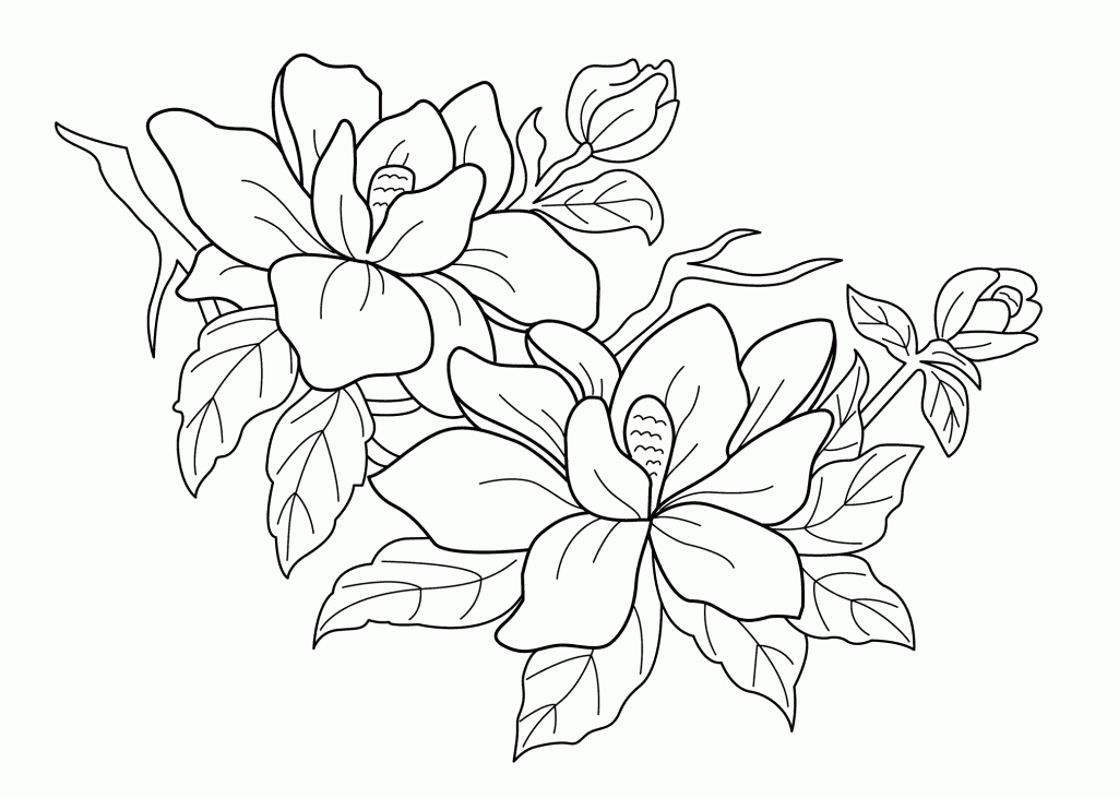 Flowering Tree Coloring Pages For Kids Printable Free Coloing ...