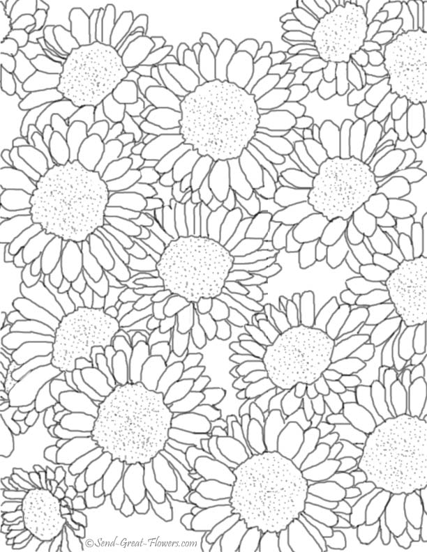 10 Pics of Fall Flowers Coloring Pages Printable - Advanced Fall ...