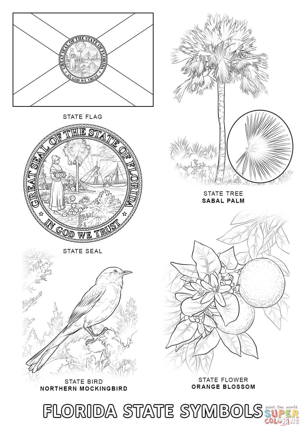 Florida State Symbols coloring page | Free Printable Coloring Pages