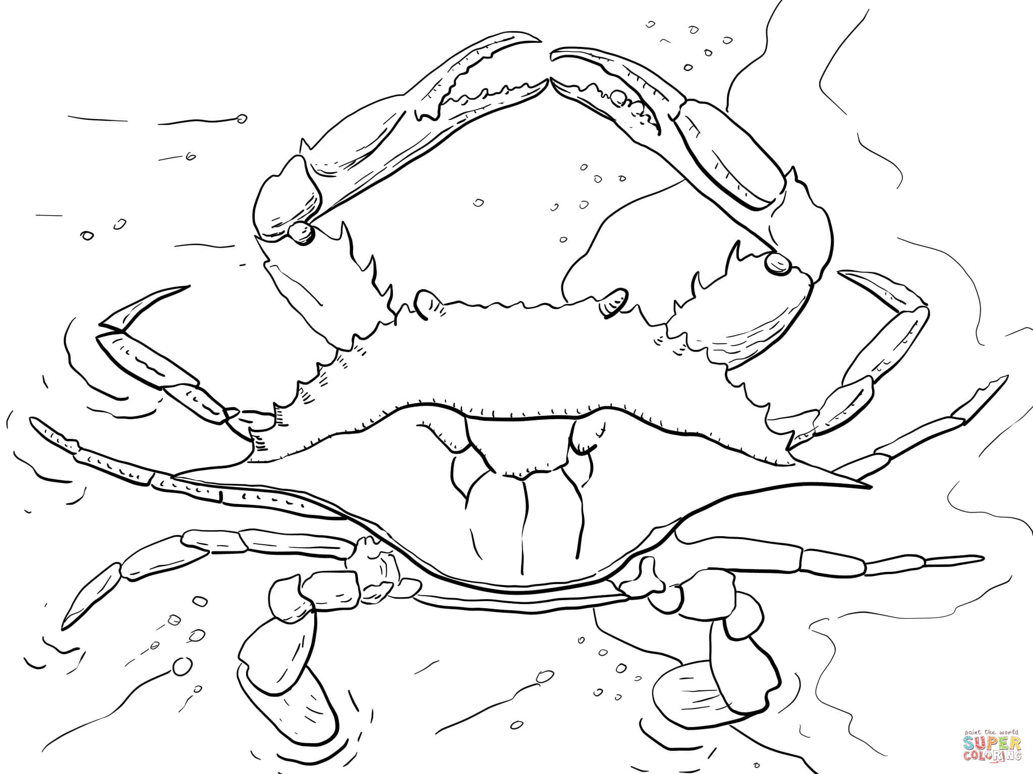 Atlantic Ocean Blue Crab coloring page | Free Printable Coloring Pages