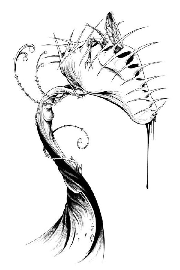Free Venus Flytrap Coloring Pages Printable PDF - Coloringfolder.com | Trap  art, Venus fly trap, Alex pardee