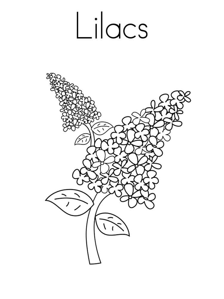 Plants and Flowers Archives - Best Coloring Pages For Kids