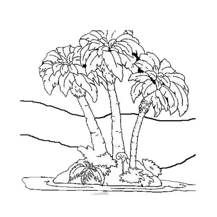 Drawing Palm tree #161153 (Nature) – Printable coloring pages