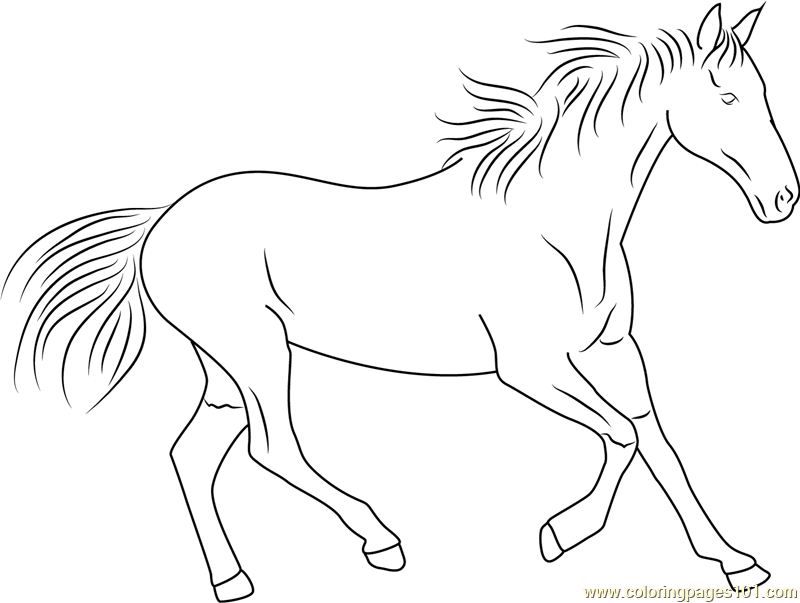 Horse Running Coloring Page - Free Horse Coloring Pages ...