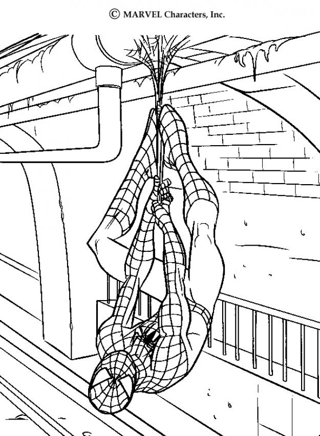 SPIDER-MAN coloring pages : 37 free superheroes coloring sheets