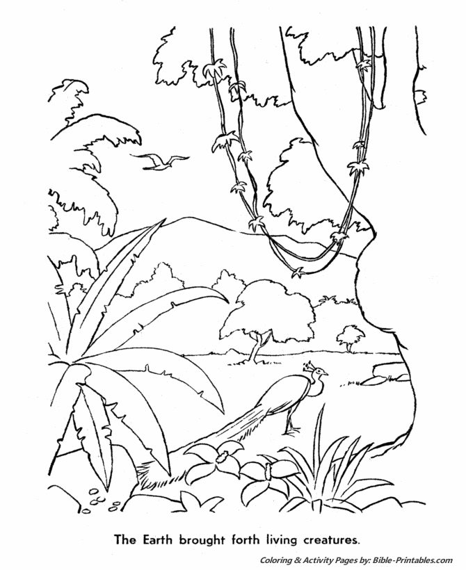 6th day of creation Colouring Pages