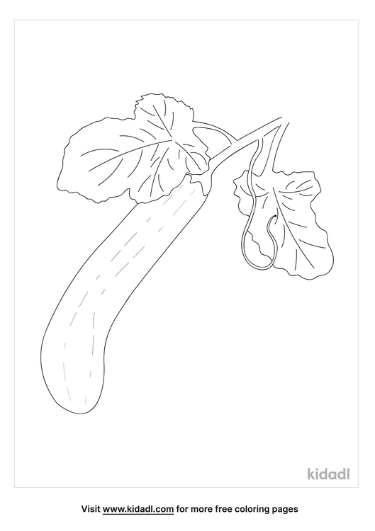 Zucchini Coloring Pages | Free Food Coloring Pages | Kidadl