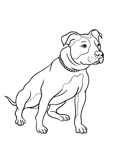 Free Pit Bull Coloring Page