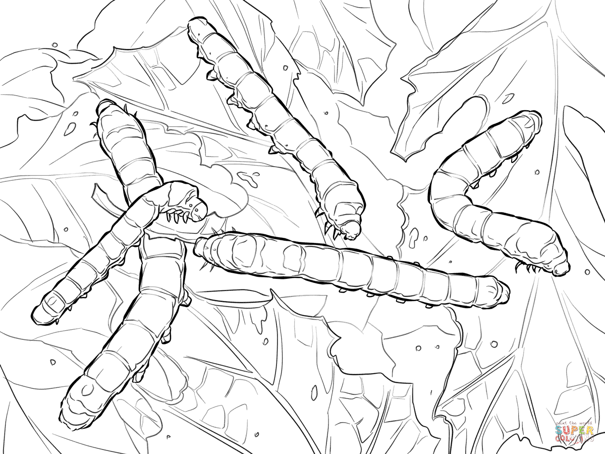 Silkworm Moth Caterpillars coloring page | Free Printable Coloring Pages