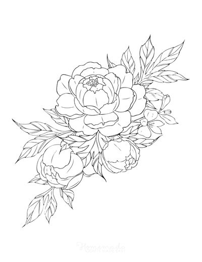 Free Flower Coloring Pages for Kids & Adults | Flower art drawing,  Beautiful flower drawings, Flower coloring pages