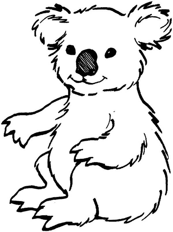 Loving Koala Bear Coloring Page | Color Luna