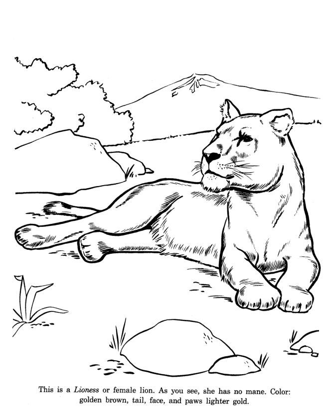 Coloring pages | Dover ...