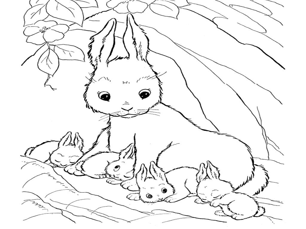Coloring Pages Of Bunnies (20 Pictures) - Colorine.net | 24515