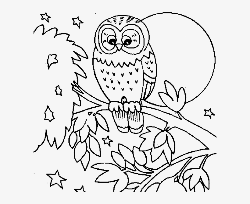 Owl Colouring Sheets Cute Owl Coloring Pages ...