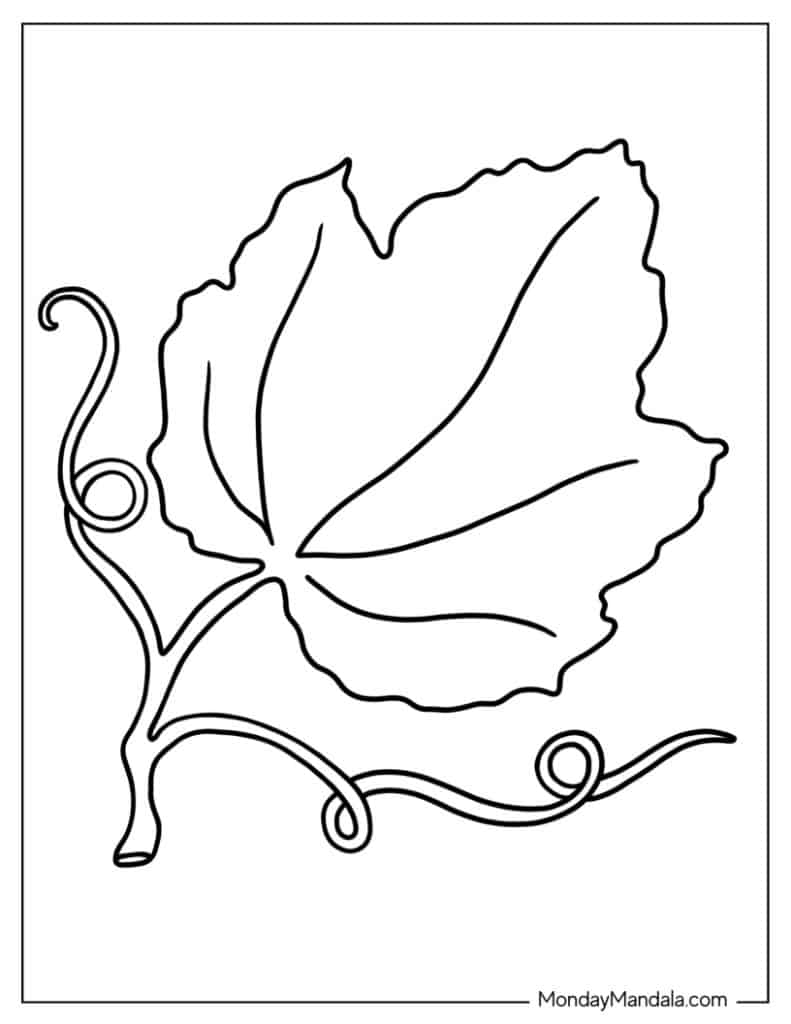 34 Leaf Coloring Pages (Free PDF Printables)