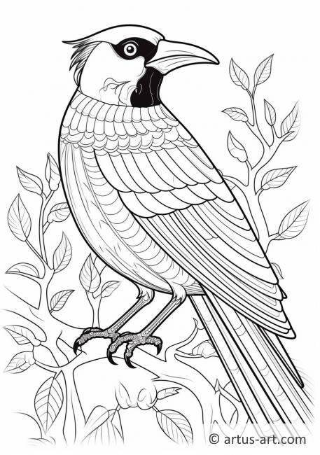 Magpie Coloring Page For Kids » Printable Coloring Page » Artus Art