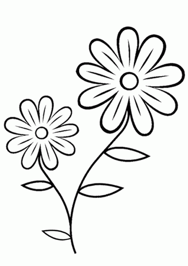 Flower Coloring Pages Free Printable | Flower Coloring pages of ...