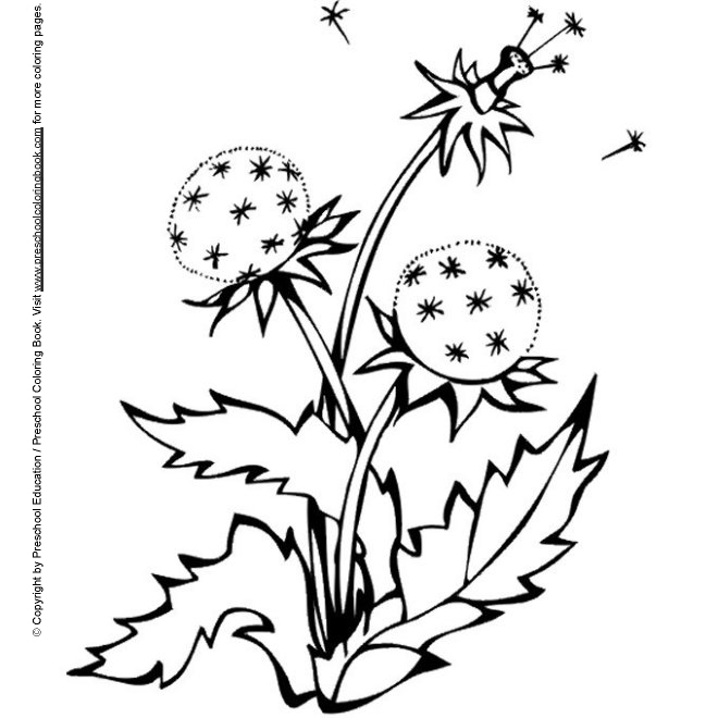 www.preschoolcoloringbook.com / Spring Coloring Page