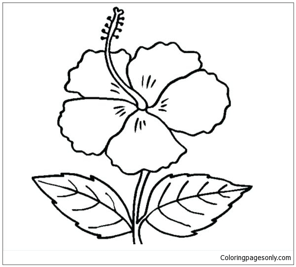 Hibiscus Flower Coloring Pages - Flower Coloring Pages - Coloring Pages For  Kids And Adults