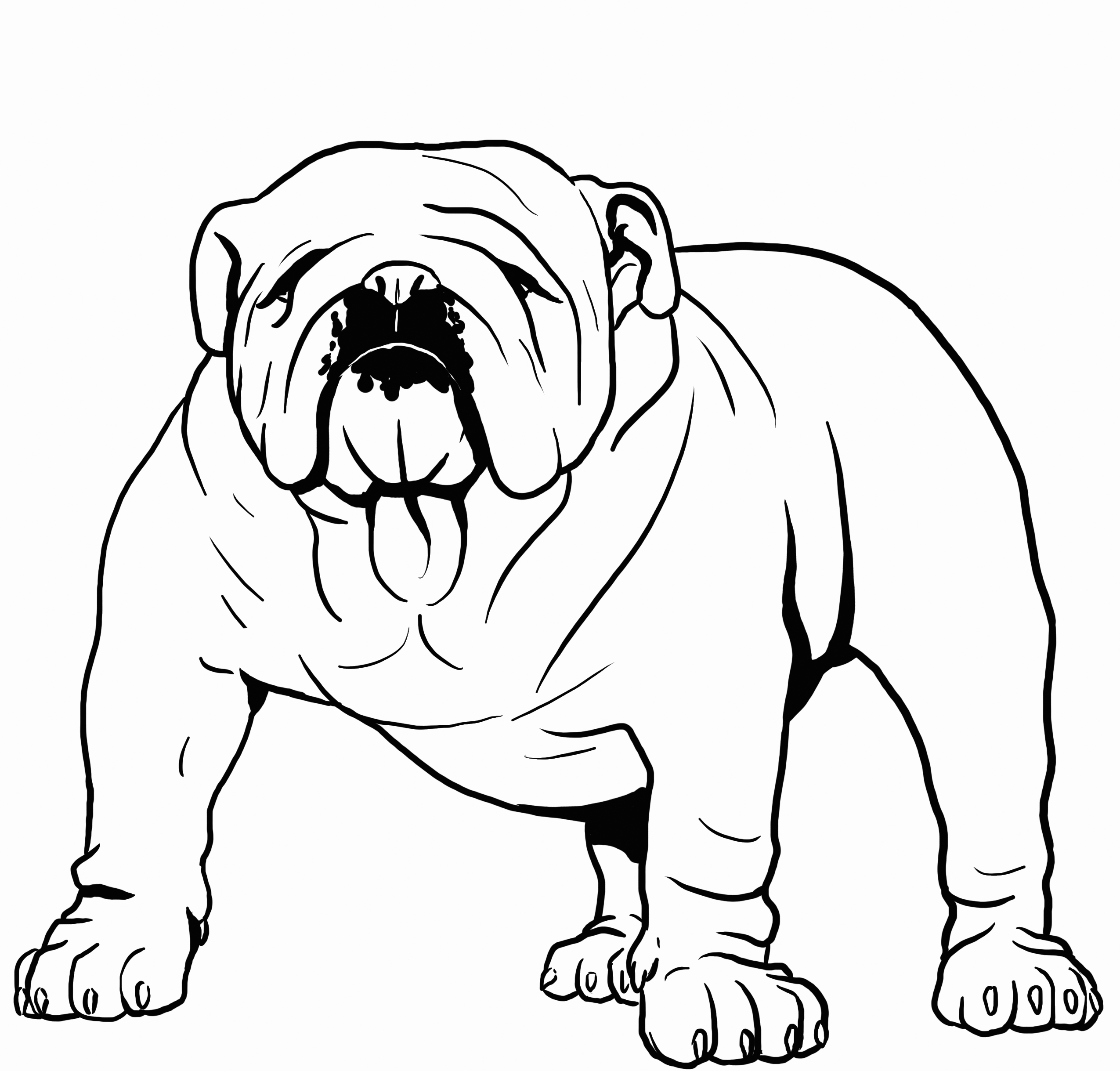 Bulldog Coloring Pages - Best Coloring Pages For Kids