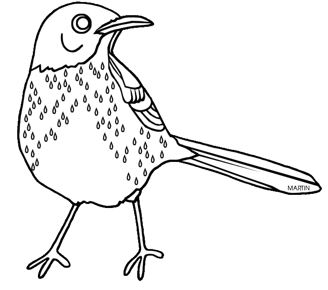 United States Clip Art by Phillip Martin, Georgia State Bird - Brown  Thrasher