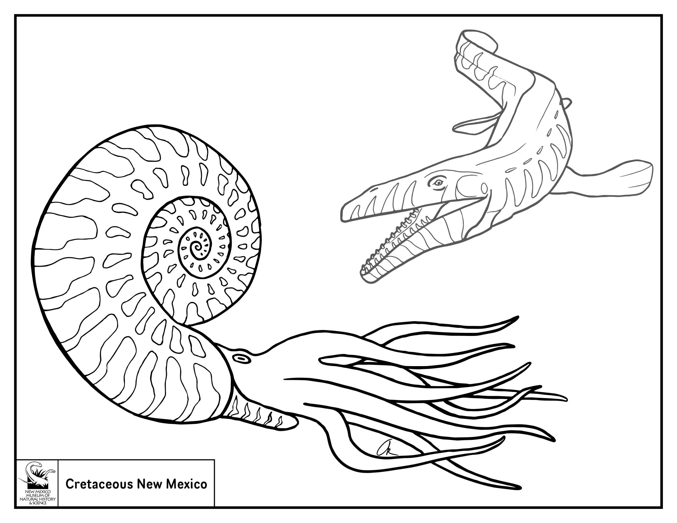 Natural History Coloring Sheets | New Mexico Museum of Natural History &  Science