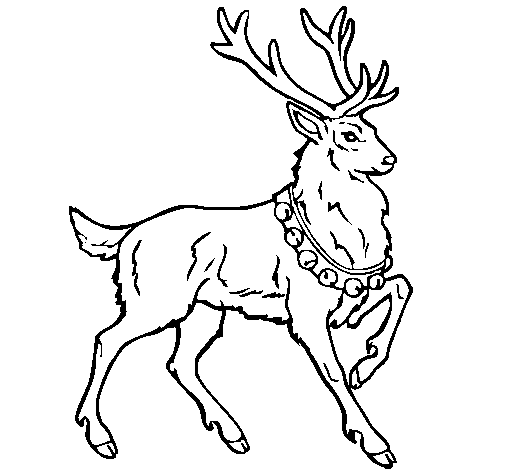 Deer coloring page - Coloringcrew.com