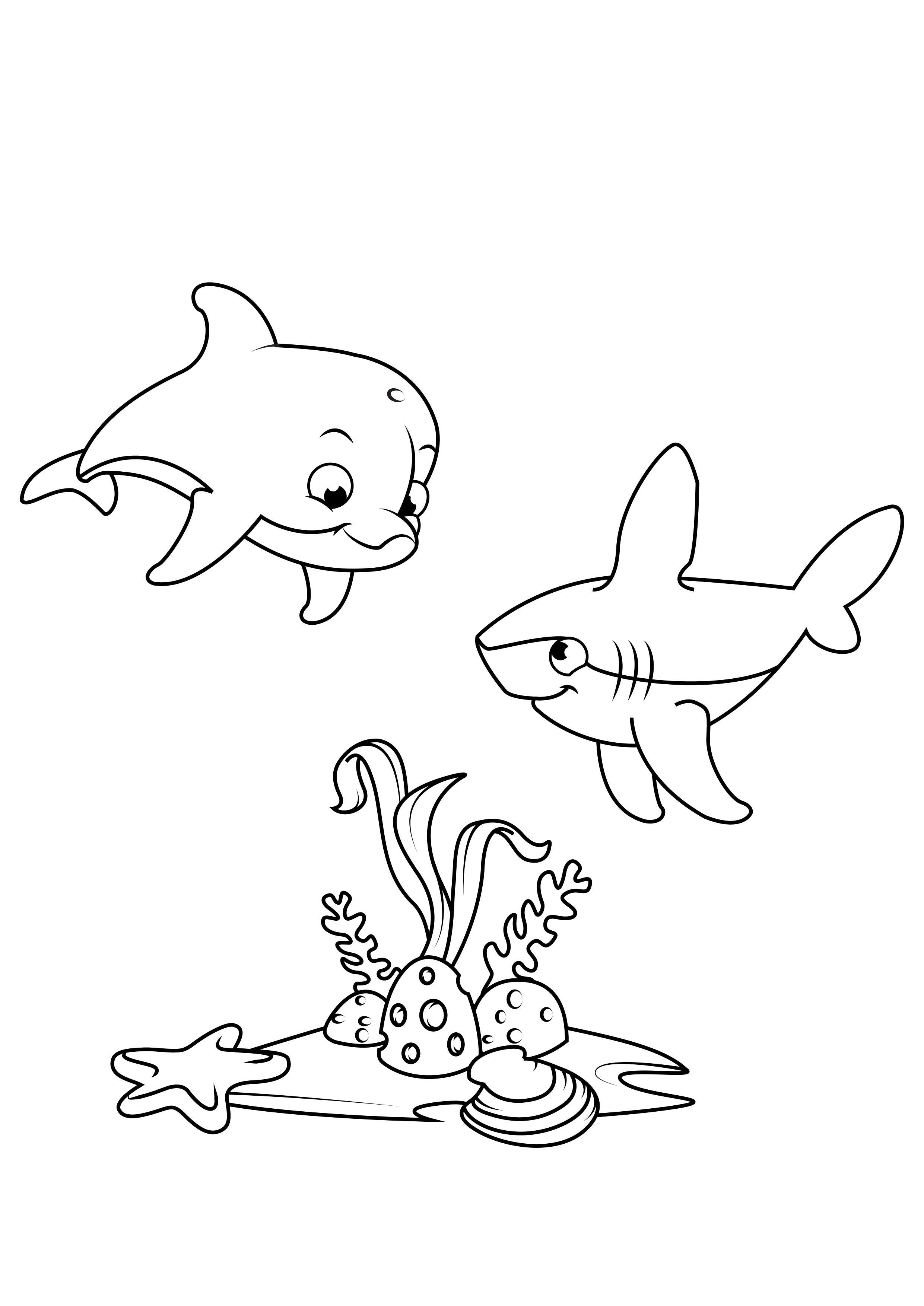 Coloring Page dolphin and shark - free ...