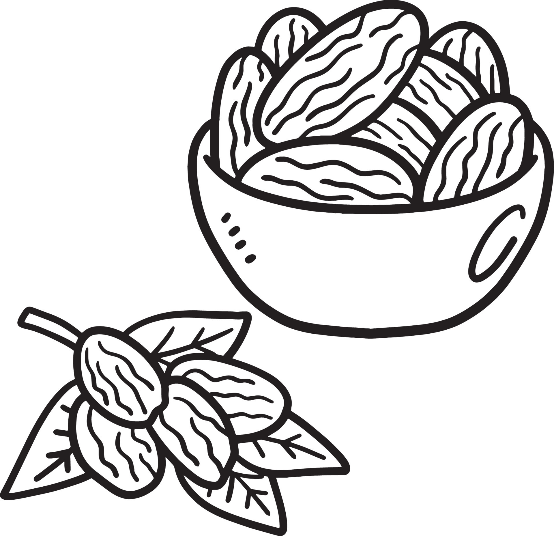 Ramadan Dried Date Isolated Coloring Page for Kids 14743623 Vector Art at  Vecteezy