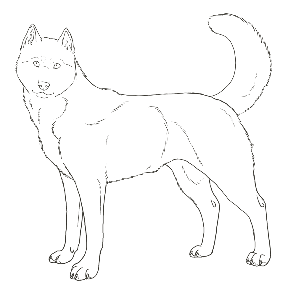 Free Searchqhusky, Download Free Searchqhusky png images, Free ClipArts on  Clipart Library