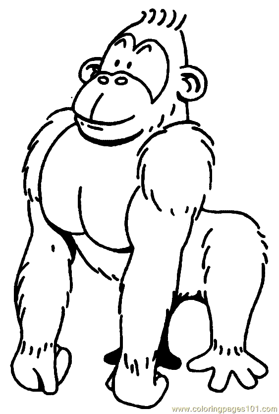 Gorilla06 Coloring Page - Free Gorilla Coloring Pages ...