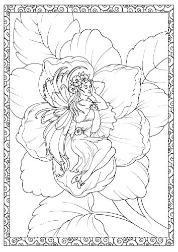 Creative Haven Enchanted Fairies Coloring Book (Creative Haven Coloring  Books) | Pricepulse