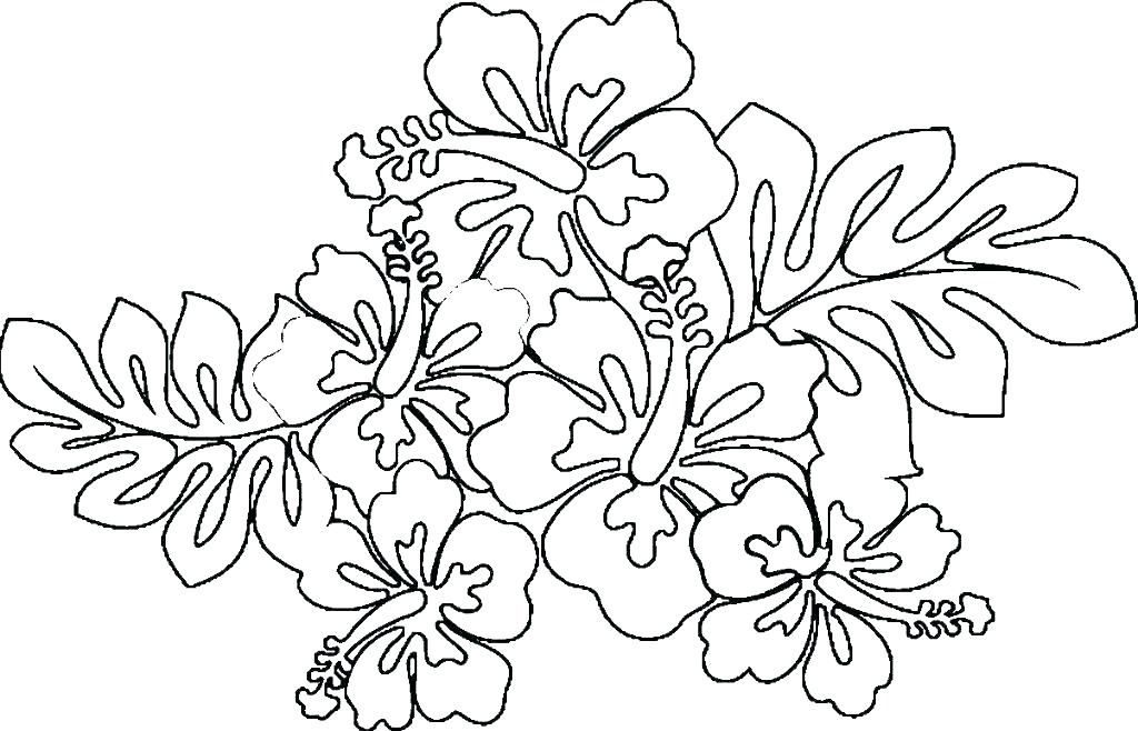 Flower Coloring Pages For Adults | Printable flower coloring pages, Flower  coloring pages, Cute coloring pages