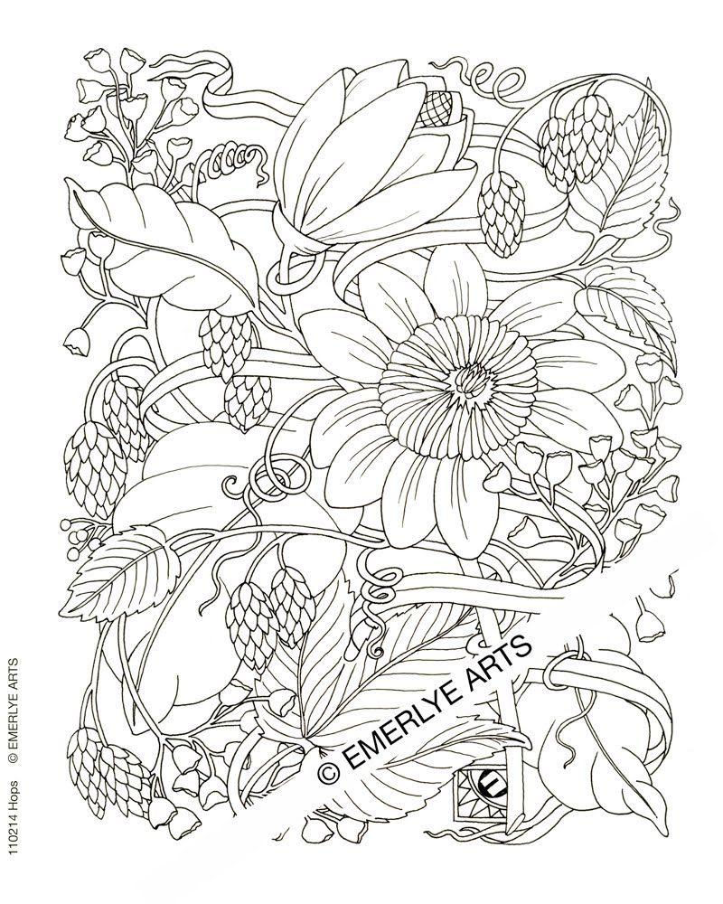Hard Color Pages Of Flowers | Coloring Online
