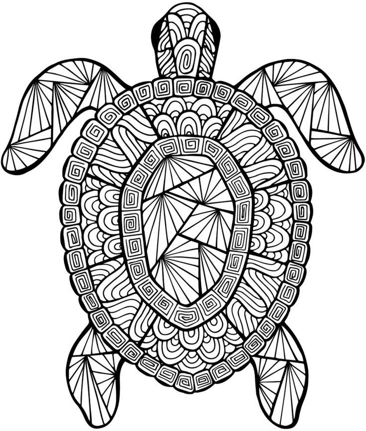 http://printables.atozteacherstuff.com/3484/detailed-sea-turtle ...