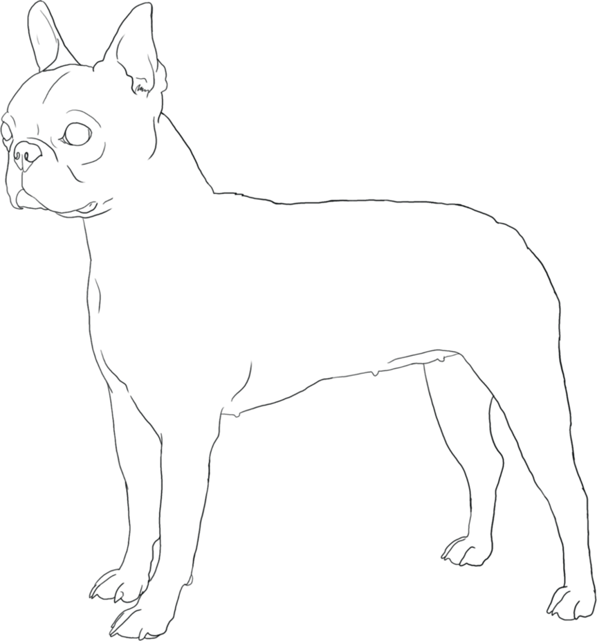Boston Terrier Coloring Pages | Free Printable Coloring Pages