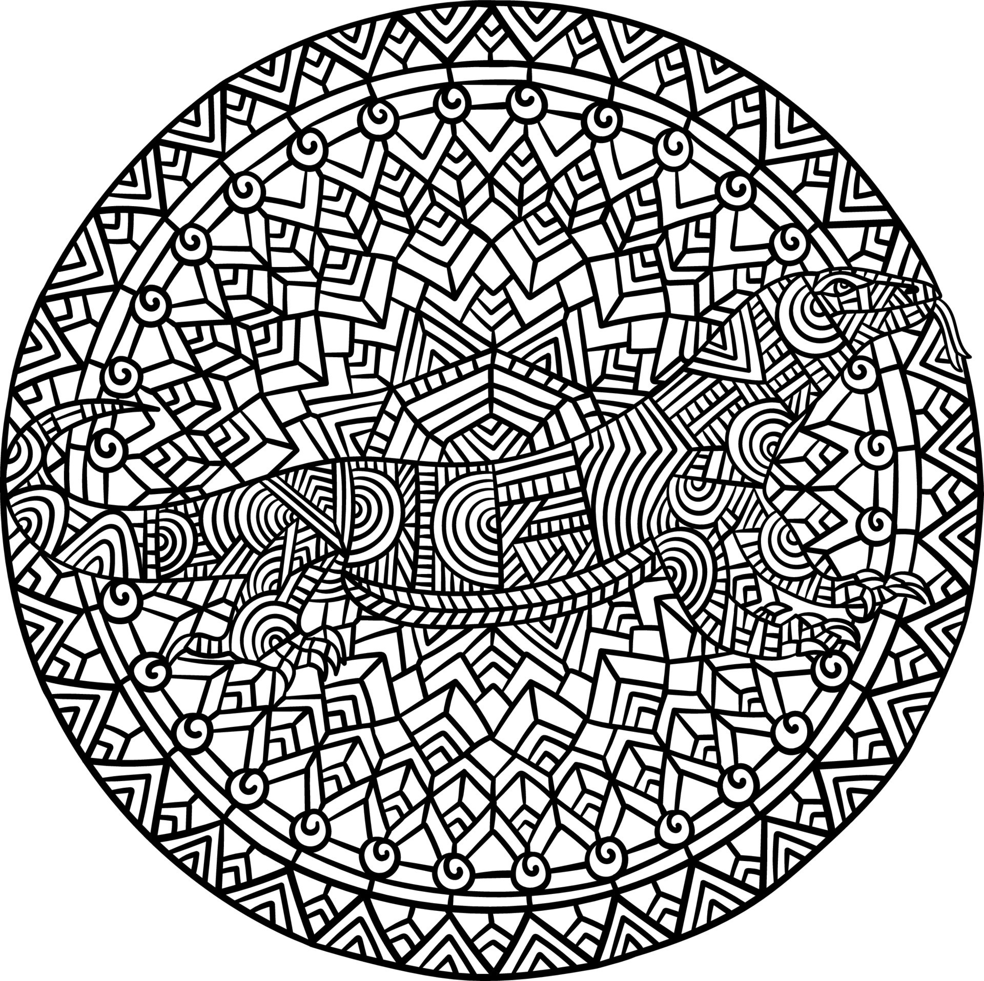 Komodo Dragon Mandala Coloring Pages for Adults 7819090 Vector Art at  Vecteezy