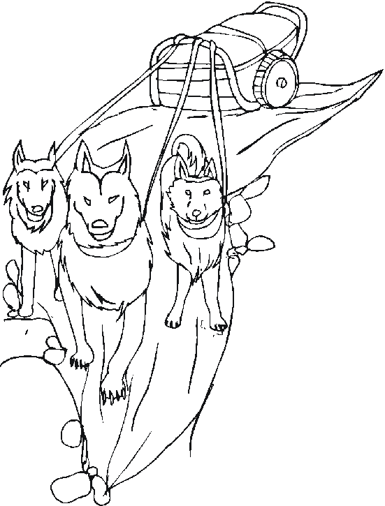 Drawings Dog Sled (Transportation) – Printable coloring pages
