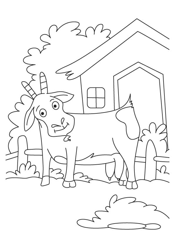 Best Photos of Billy Goat Coloring Page - Three Billy Goats Gruff ...