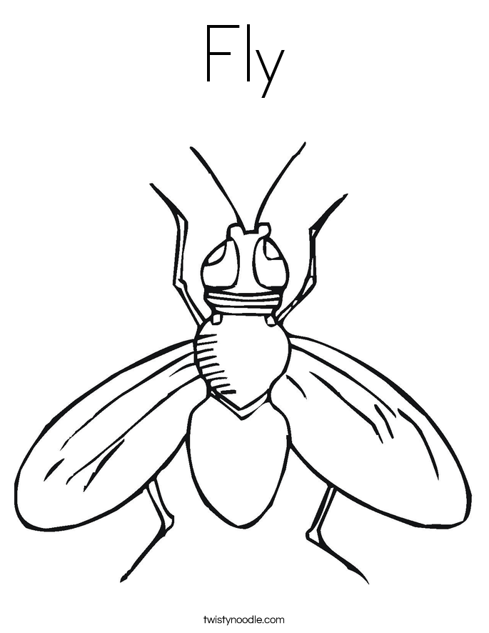 Fly Coloring Pages - GetColoringPages.com