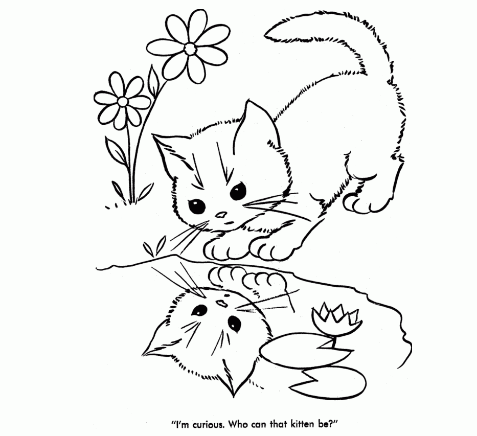 Cute Baby Animal Coloring Pages, cat beautiful coloring pages ...