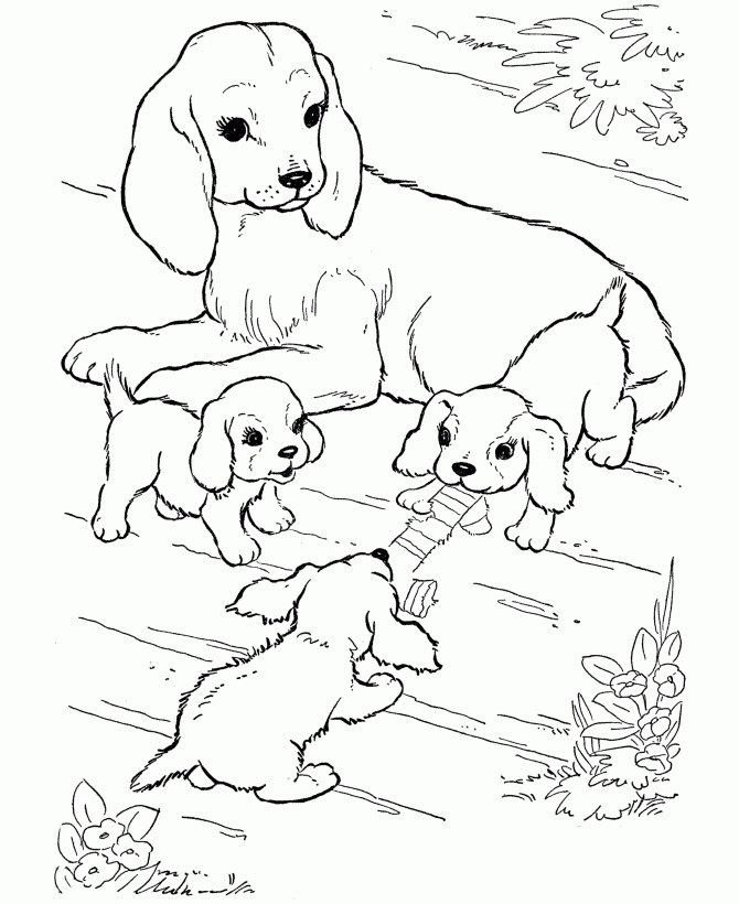 Puppy Coloring Page - Coloring Pages for Kids and for Adults
