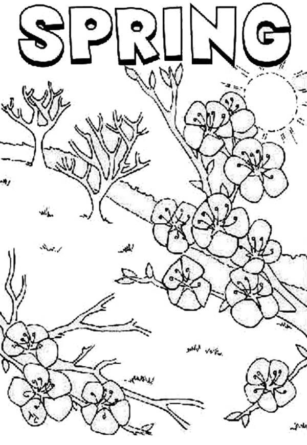 Springtime is Time for Flower to Bloom Coloring Page - Download ...