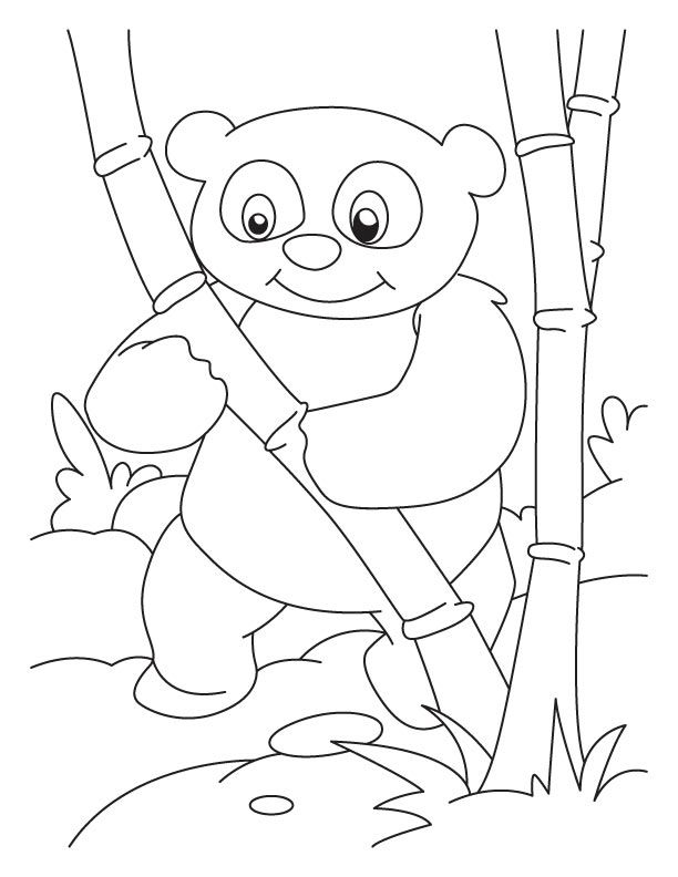 Bamboo lover panda coloring pages | Download Free Bamboo lover 
