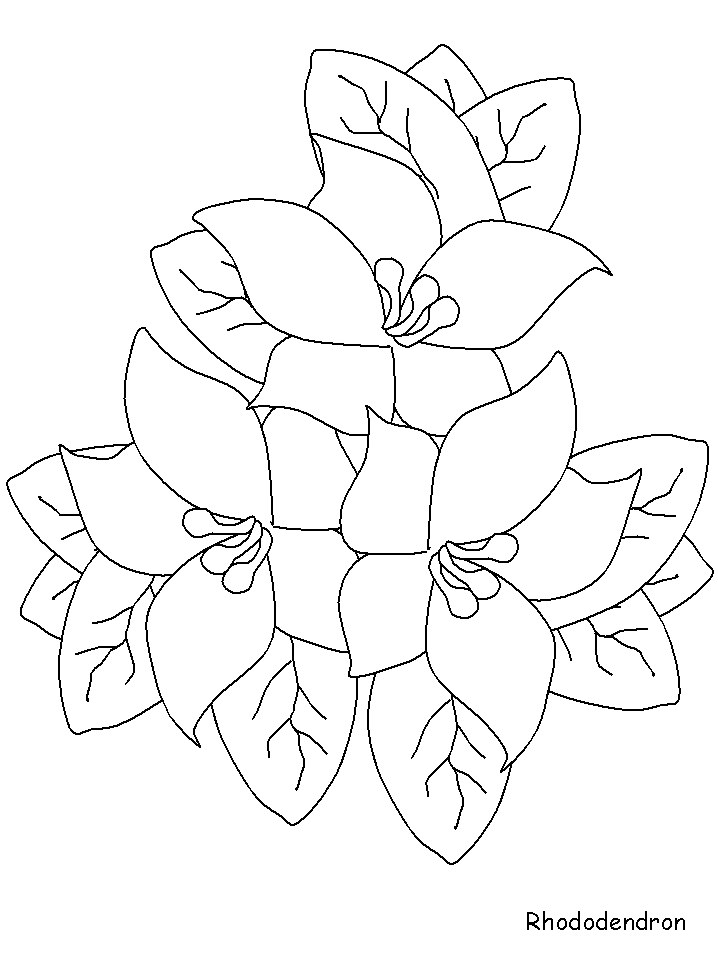 Easy Pretty Flowers Drawing and Coloring for Kids by pimporn  rungratikunthorn