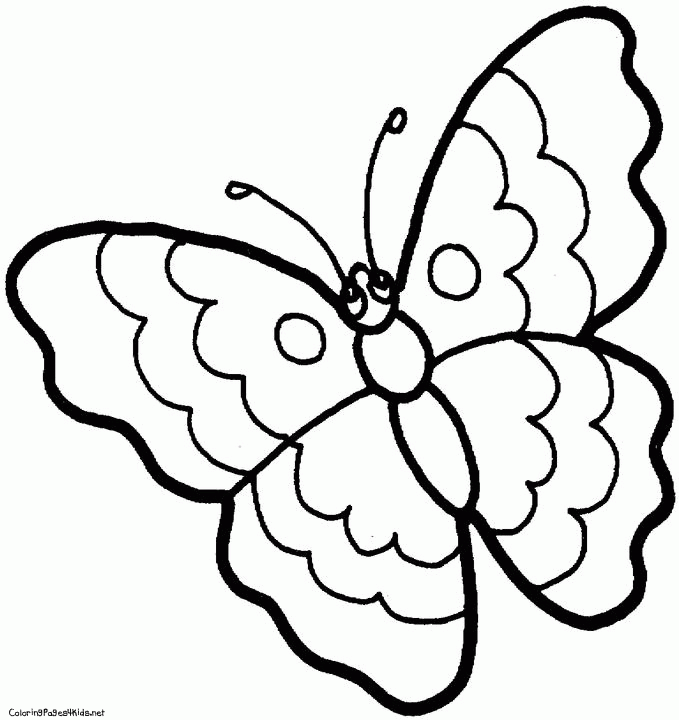 Butterfly Coloring Pages Page 7 Images