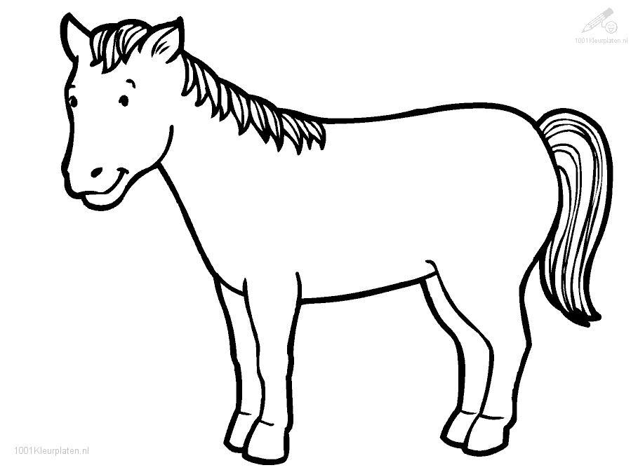 Coloring Pages Of Horses Rearing | Cartoon Coloring Pages